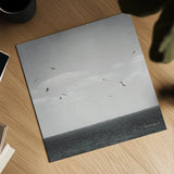 Calm Days IV BW Crop by Elizabeth Urquhart. Shown as a detailed flat fine art print, highlighting archival giclee quality. Available as an archival giclee rolled canvas, fine art paper, or poster print. SKU 27842a.