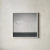 Calm Days IV BW Crop by Elizabeth Urquhart. Shown in a crisp white glass frame for a clean and minimalist style. Available as an archival giclee rolled canvas, fine art paper, or poster print. SKU 27842a.
