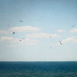 Calm Days IV Crop by Elizabeth Urquhart. SKU 23798a. Archival Giclee Fine art print for wall decor.