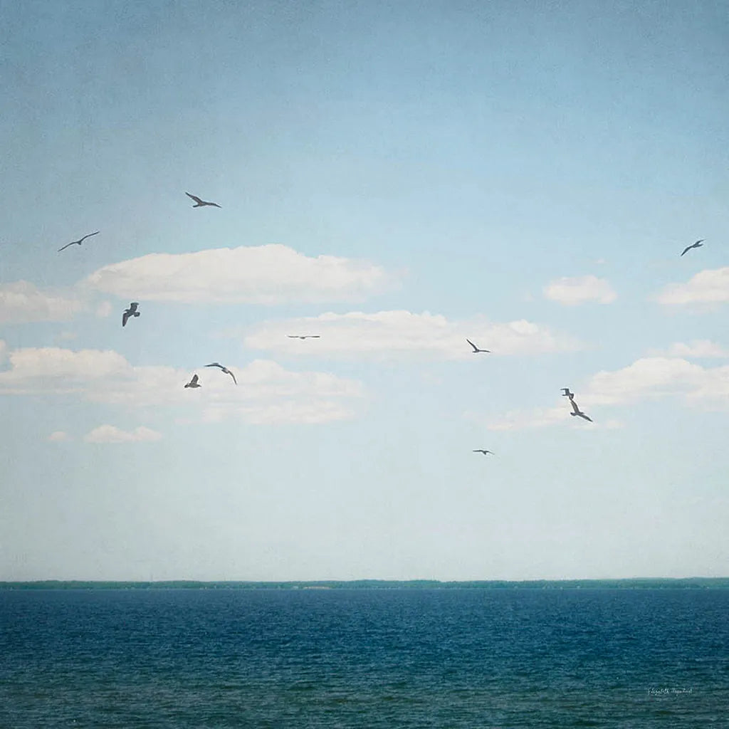 Calm Days IV Crop by Elizabeth Urquhart. SKU 23798a. Archival Giclee Fine art print for wall decor.