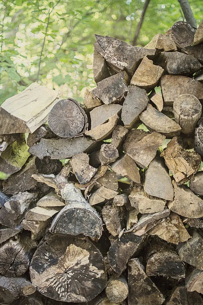 Chopped I by Elizabeth Urquhart. SKU 30335h. Archival Giclee Fine art print for wall decor.