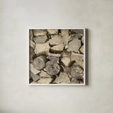 Chopped II Crop by Elizabeth Urquhart. Shown in a crisp white glass frame for a clean and minimalist style. Available as an archival giclee rolled canvas, fine art paper, or poster print. SKU 30336a.