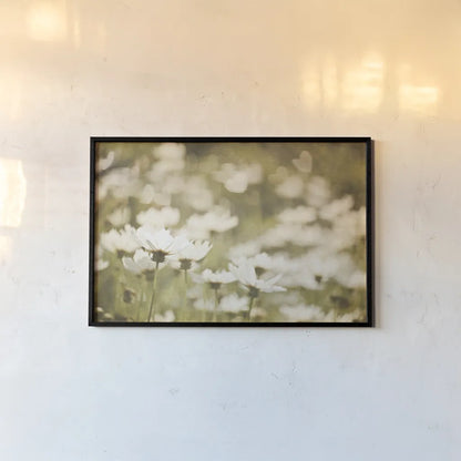 Daisies I by Elizabeth Urquhart. shown as a paper print in a black flame. Available as a archival giclee rolled canvas, fine art paper, or poster print. SKU 24293i.