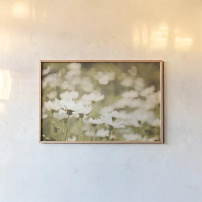 Daisies I by Elizabeth Urquhart. shown as a paper print in a natural frame. Available as a archival giclee rolled canvas, fine art paper, or poster print. SKU 24293i.