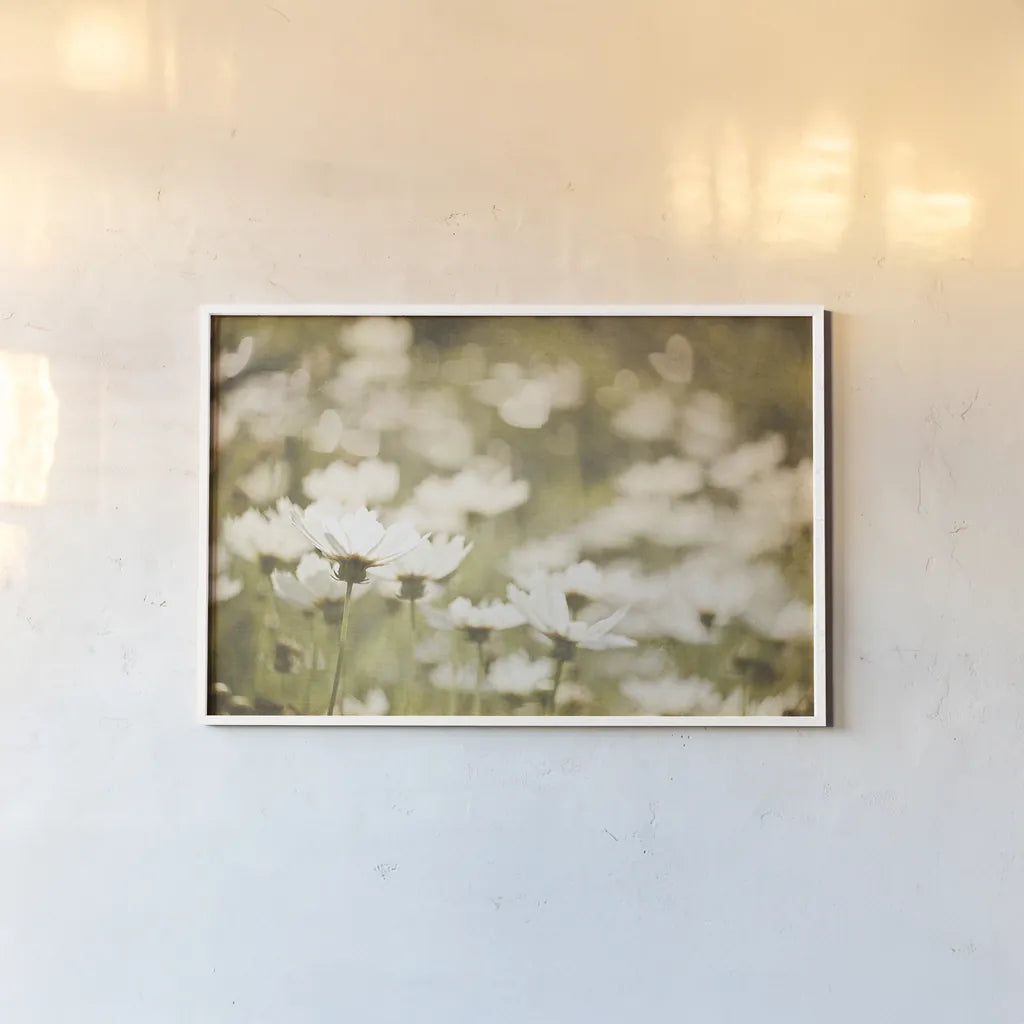 Daisies I by Elizabeth Urquhart. shown as a paper print in a white frame. Available as a archival giclee rolled canvas, fine art paper, or poster print. SKU 24293i.