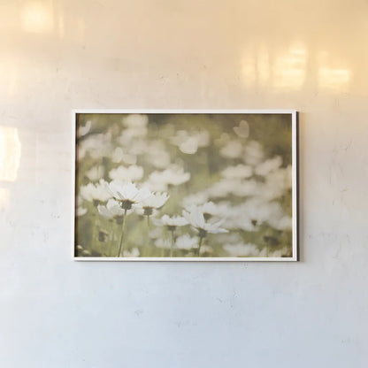 Daisies I by Elizabeth Urquhart. shown as a paper print in a white frame. Available as a archival giclee rolled canvas, fine art paper, or poster print. SKU 24293i.