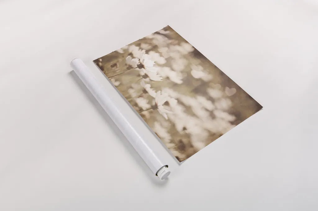 Daisies I Neutral by Elizabeth Urquhart. shown as a rolled paper print. Available as archival giclee rolled canvas, fine art paper, or poster print. SKU 71601i.