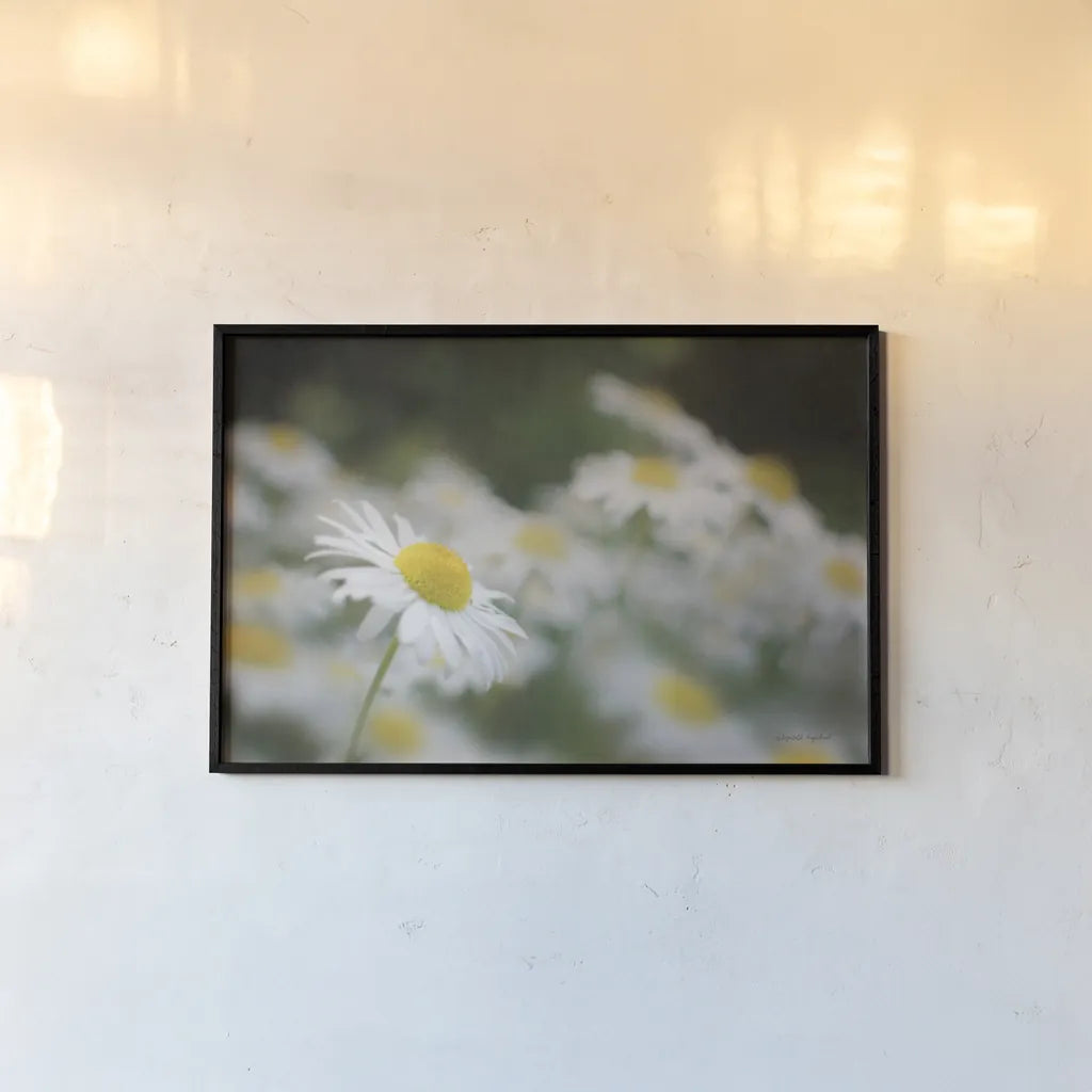 Daisies III by Elizabeth Urquhart. shown as a paper print in a black flame. Available as a archival giclee rolled canvas, fine art paper, or poster print. SKU 25867i.