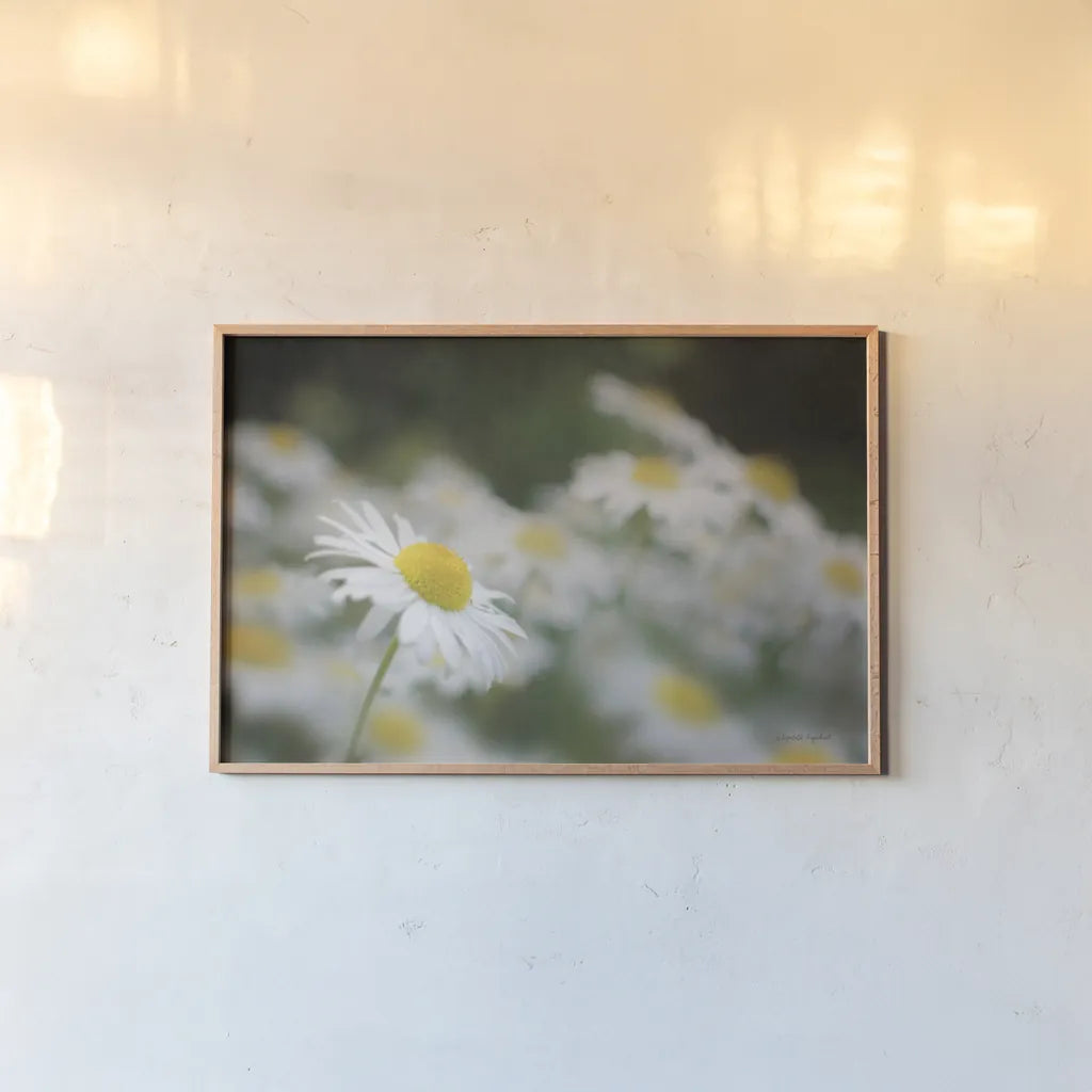 Daisies III by Elizabeth Urquhart. shown as a paper print in a natural frame. Available as a archival giclee rolled canvas, fine art paper, or poster print. SKU 25867i.