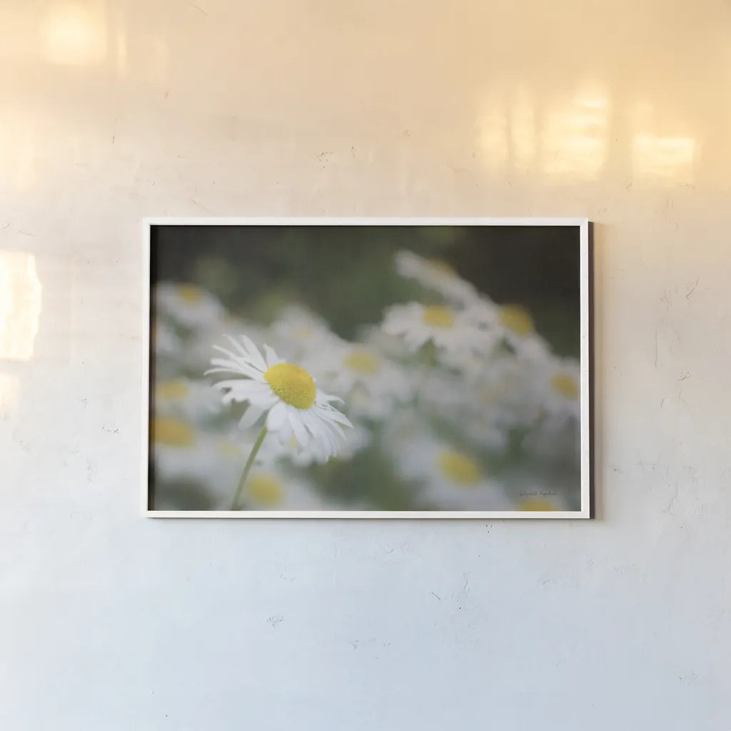 Daisies III by Elizabeth Urquhart. shown as a paper print in a white frame. Available as a archival giclee rolled canvas, fine art paper, or poster print. SKU 25867i.