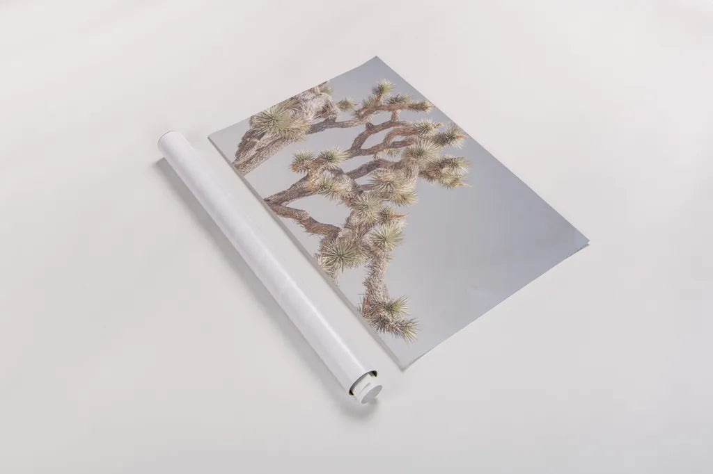 Desert Floral I by Elizabeth Urquhart. shown as a rolled paper print. Available as archival giclee rolled canvas, fine art paper, or poster print. SKU 68487i.