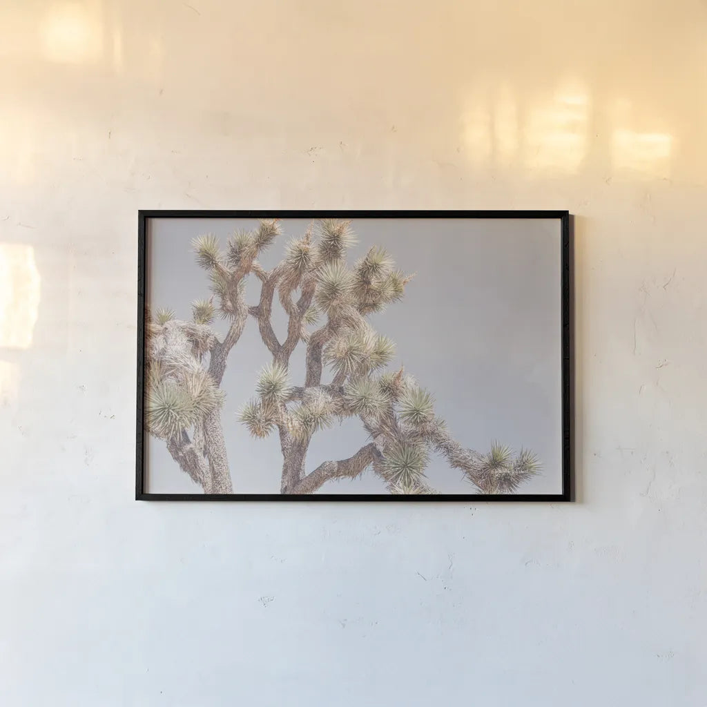 Desert Floral I by Elizabeth Urquhart. shown as a paper print in a black flame. Available as a archival giclee rolled canvas, fine art paper, or poster print. SKU 68487i.