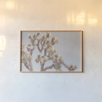 Desert Floral I by Elizabeth Urquhart. shown as a paper print in a natural frame. Available as a archival giclee rolled canvas, fine art paper, or poster print. SKU 68487i.