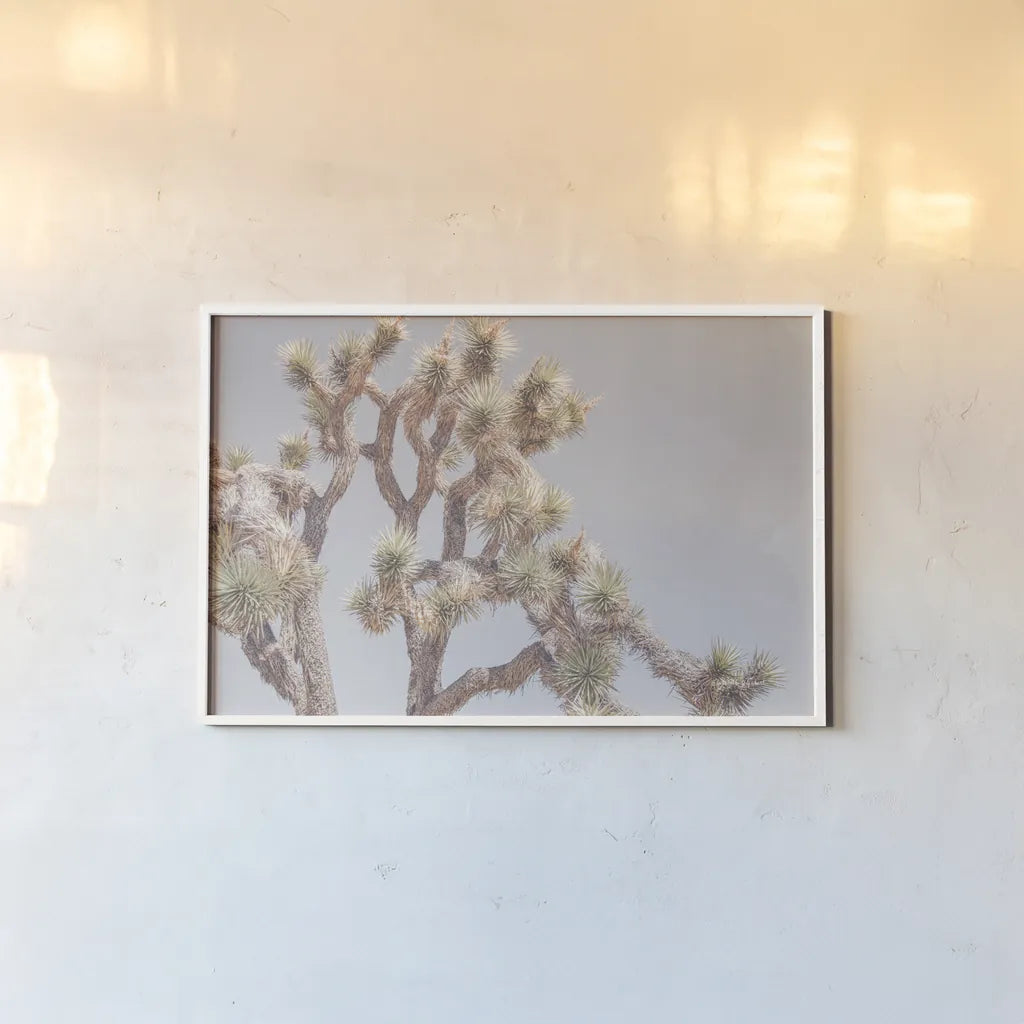 Desert Floral I by Elizabeth Urquhart. shown as a paper print in a white frame. Available as a archival giclee rolled canvas, fine art paper, or poster print. SKU 68487i.