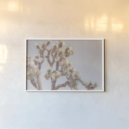 Desert Floral I by Elizabeth Urquhart. shown as a paper print in a white frame. Available as a archival giclee rolled canvas, fine art paper, or poster print. SKU 68487i.
