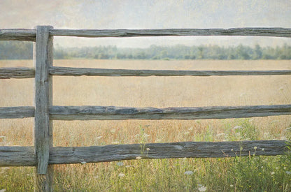 Edge of the Field by Elizabeth Urquhart. SKU 14740i. Archival Giclee Fine art print for wall decor.