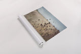 Falling Queen Annes Lace I Crop by Elizabeth Urquhart. shown as a rolled paper print. Available as archival giclee rolled canvas, fine art paper, or poster print. SKU 30337i.