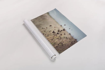 Falling Queen Annes Lace I Crop by Elizabeth Urquhart. shown as a rolled paper print. Available as archival giclee rolled canvas, fine art paper, or poster print. SKU 30337i.