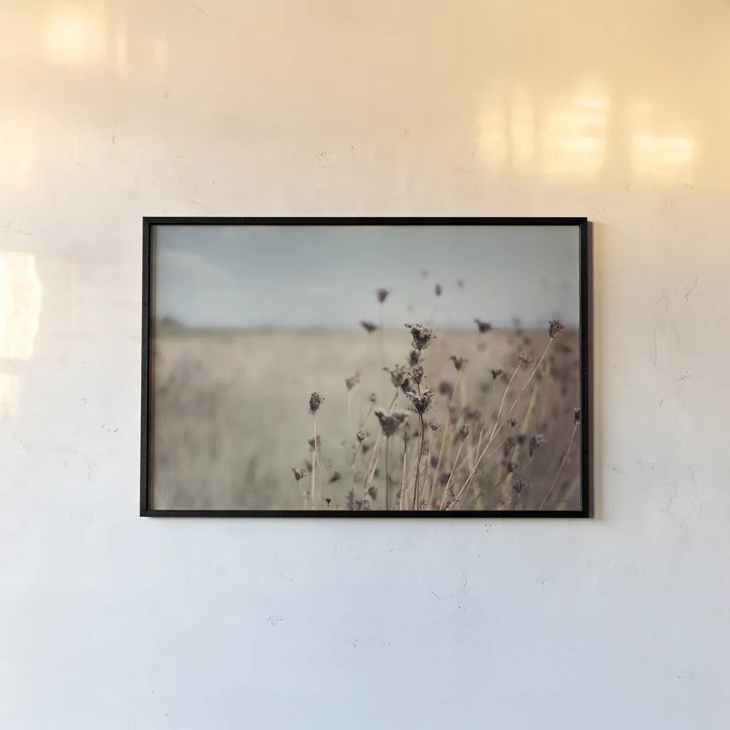 Falling Queen Annes Lace I Crop by Elizabeth Urquhart. shown as a paper print in a black flame. Available as a archival giclee rolled canvas, fine art paper, or poster print. SKU 30337i.