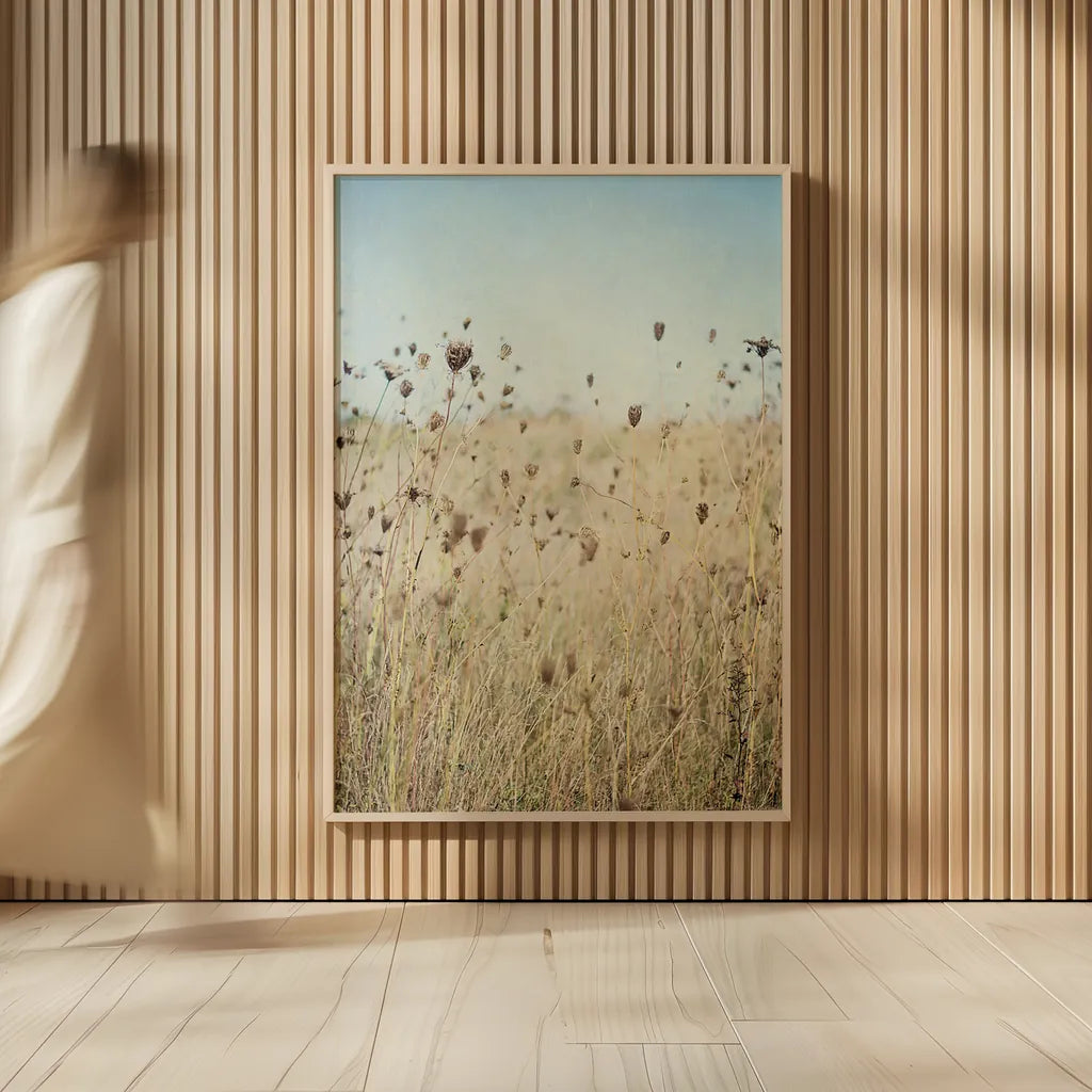 Falling Queen Annes Lace II by Elizabeth Urquhart. shown as over sized large wall art. Available as an archival giclee rolled canvas, fine art paper, or poster print. SKU 30338h.