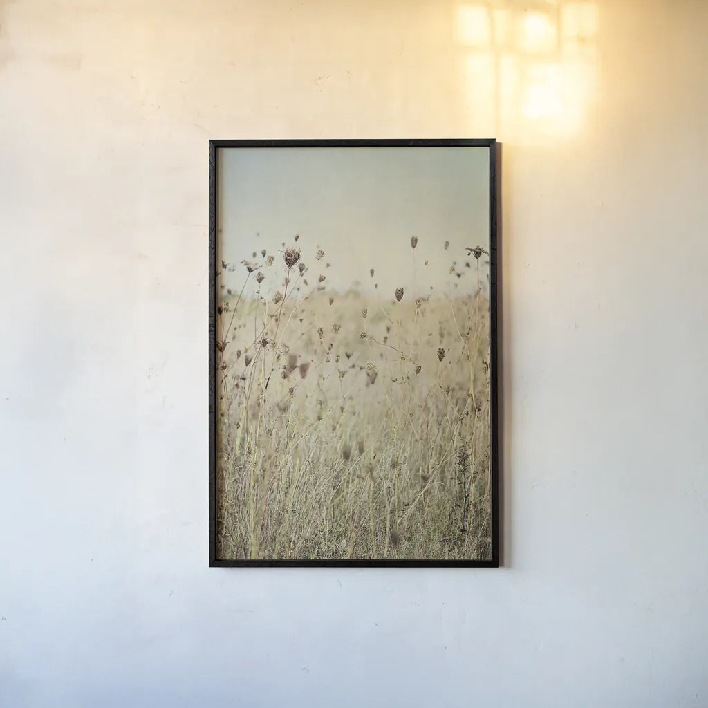 Falling Queen Annes Lace II by Elizabeth Urquhart. shown as a paper print in a black flame. Available as a archival giclee rolled canvas, fine art paper, or poster print. SKU 30338h.