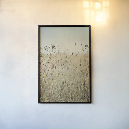 Falling Queen Annes Lace II by Elizabeth Urquhart. shown as a paper print in a black flame. Available as a archival giclee rolled canvas, fine art paper, or poster print. SKU 30338h.