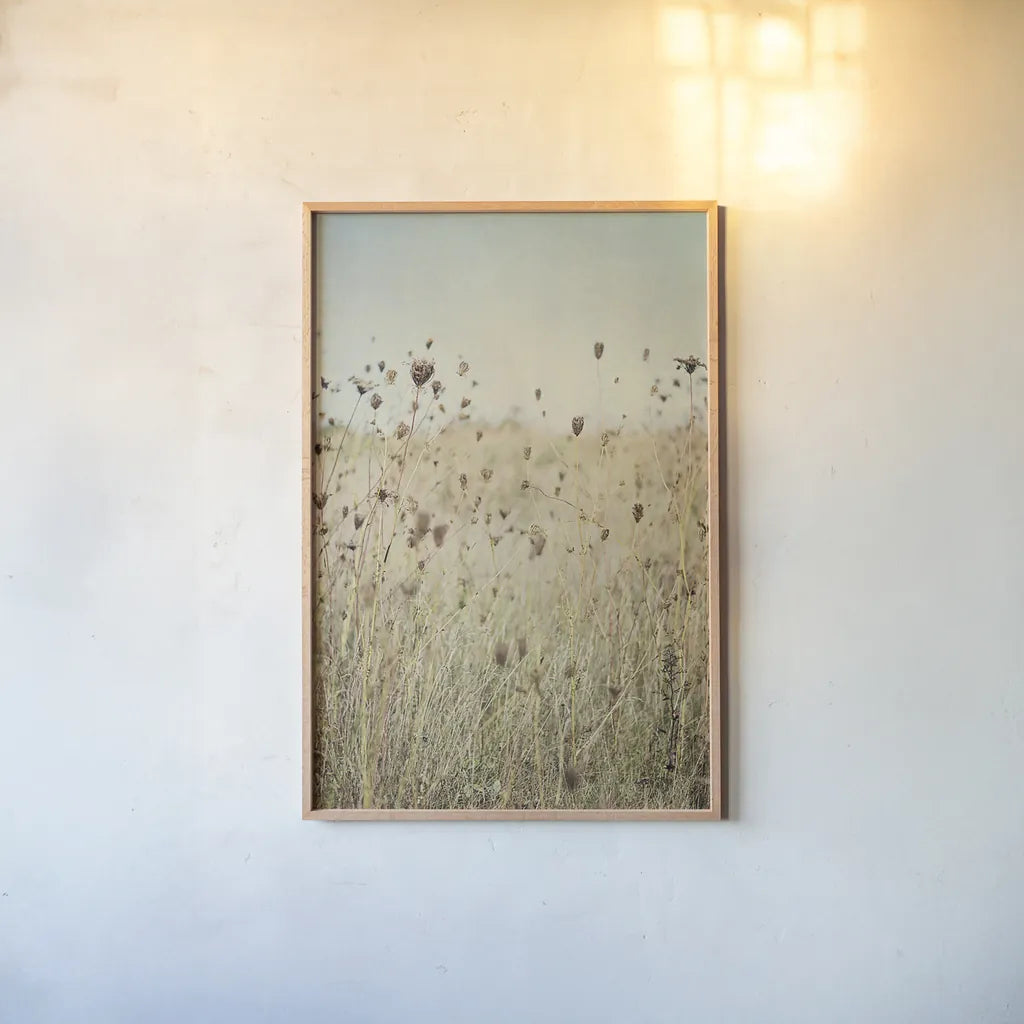 Falling Queen Annes Lace II by Elizabeth Urquhart. shown as a paper print in a natural frame. Available as a archival giclee rolled canvas, fine art paper, or poster print. SKU 30338h.