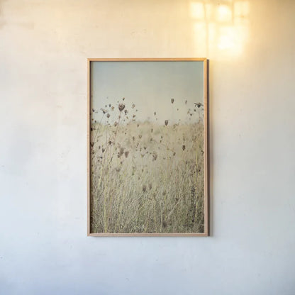 Falling Queen Annes Lace II by Elizabeth Urquhart. shown as a paper print in a natural frame. Available as a archival giclee rolled canvas, fine art paper, or poster print. SKU 30338h.