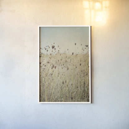 Falling Queen Annes Lace II by Elizabeth Urquhart. shown as a paper print in a white frame. Available as a archival giclee rolled canvas, fine art paper, or poster print. SKU 30338h.
