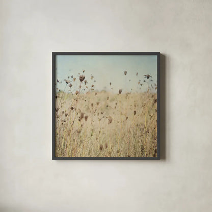 Falling Queen Annes Lace II Crop by Elizabeth Urquhart. Shown in a sleek black glass frame for a contemporary gallery look. Available as an archival giclee rolled canvas, fine art paper, or poster print. SKU 30338a.