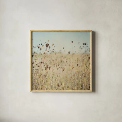 Falling Queen Annes Lace II Crop by Elizabeth Urquhart. Shown in a natural wood glass frame for a timeless modern aesthetic. Available as an archival giclee rolled canvas, fine art paper, or poster print. SKU 30338a.