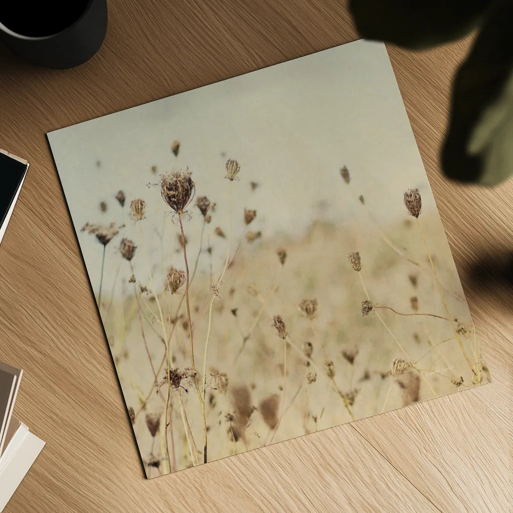 Falling Queen Annes Lace II Crop Sepia by Elizabeth Urquhart. Shown as a detailed flat fine art print, highlighting archival giclee quality. Available as an archival giclee rolled canvas, fine art paper, or poster print. SKU 54310a.