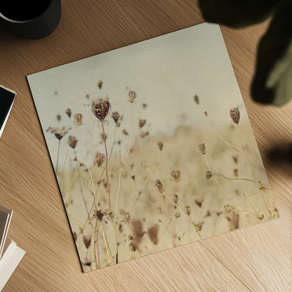 Falling Queen Annes Lace II Crop Sepia by Elizabeth Urquhart. Shown as a detailed flat fine art print, highlighting archival giclee quality. Available as an archival giclee rolled canvas, fine art paper, or poster print. SKU 54310a.