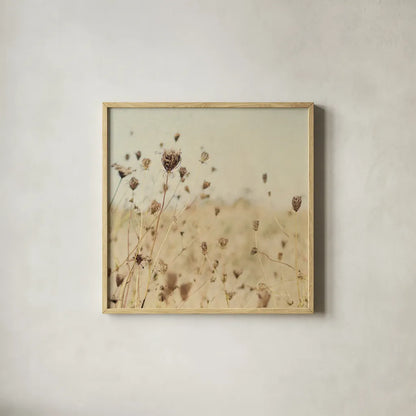 Falling Queen Annes Lace II Crop Sepia by Elizabeth Urquhart. Shown in a natural wood glass frame for a timeless modern aesthetic. Available as an archival giclee rolled canvas, fine art paper, or poster print. SKU 54310a.