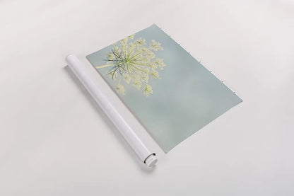 Flower on Blue I by Elizabeth Urquhart. shown as a rolled paper print. Available as archival giclee rolled canvas, fine art paper, or poster print. SKU 26902i.