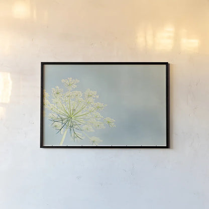 Flower on Blue I by Elizabeth Urquhart. shown as a paper print in a black flame. Available as a archival giclee rolled canvas, fine art paper, or poster print. SKU 26902i.