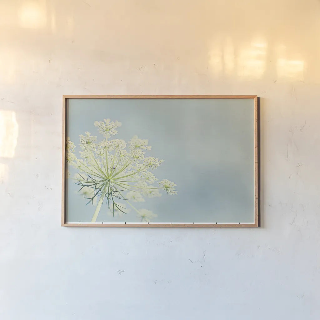 Flower on Blue I by Elizabeth Urquhart. shown as a paper print in a natural frame. Available as a archival giclee rolled canvas, fine art paper, or poster print. SKU 26902i.