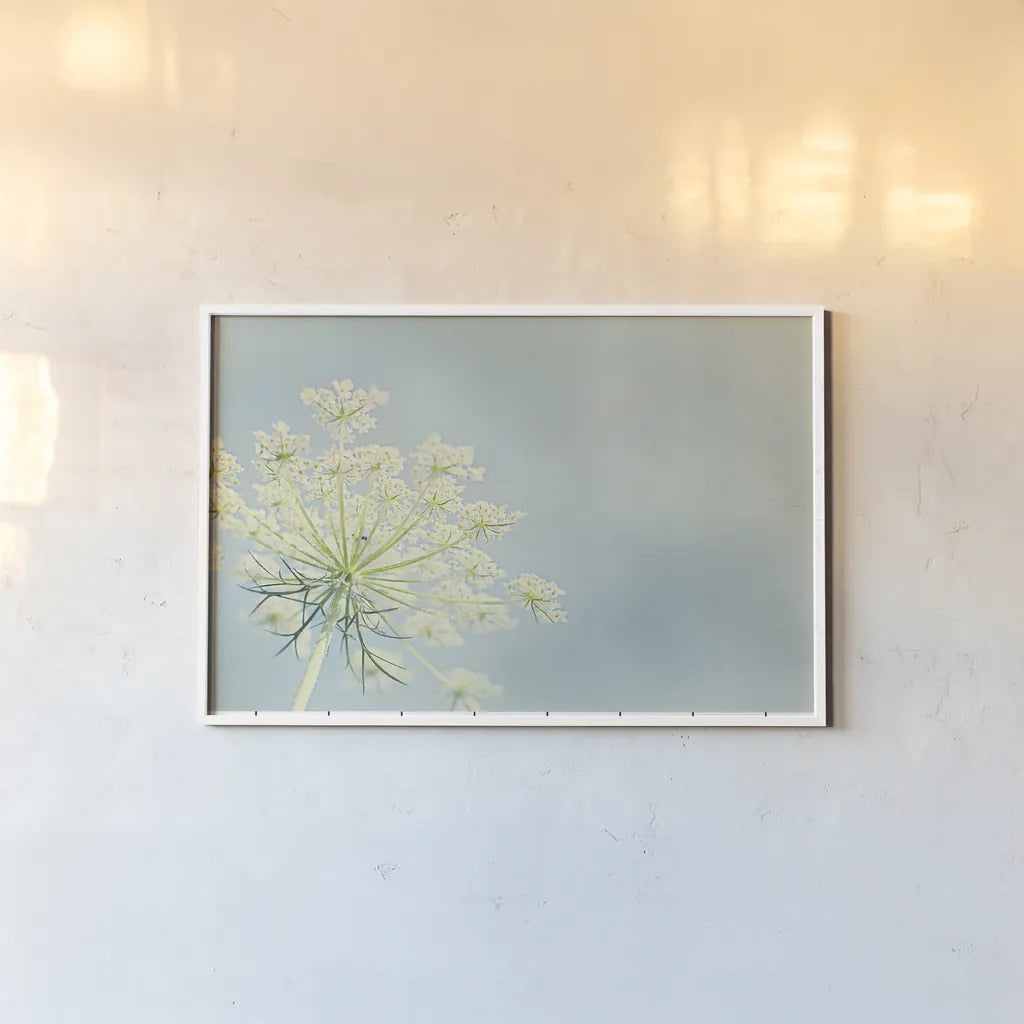 Flower on Blue I by Elizabeth Urquhart. shown as a paper print in a white frame. Available as a archival giclee rolled canvas, fine art paper, or poster print. SKU 26902i.