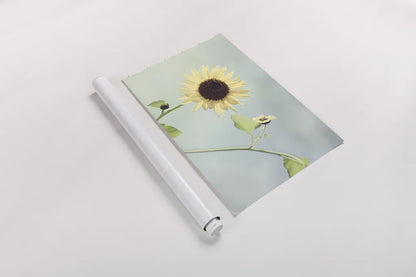 Flower on Blue II by Elizabeth Urquhart. shown as a rolled paper print. Available as archival giclee rolled canvas, fine art paper, or poster print. SKU 26903i.