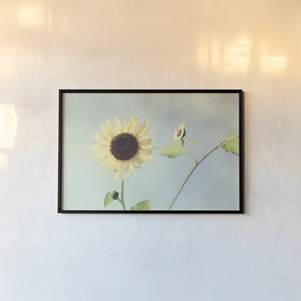 Flower on Blue II by Elizabeth Urquhart. shown as a paper print in a black flame. Available as a archival giclee rolled canvas, fine art paper, or poster print. SKU 26903i.