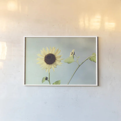 Flower on Blue II by Elizabeth Urquhart. shown as a paper print in a white frame. Available as a archival giclee rolled canvas, fine art paper, or poster print. SKU 26903i.