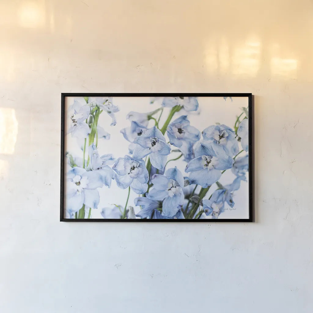 Freshly Picked Delphinium I by Elizabeth Urquhart. shown as a paper print in a black flame. Available as a archival giclee rolled canvas, fine art paper, or poster print. SKU 67966i.