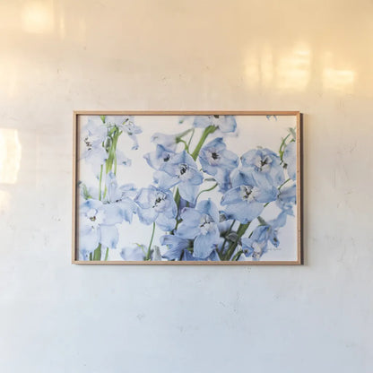 Freshly Picked Delphinium I by Elizabeth Urquhart. shown as a paper print in a natural frame. Available as a archival giclee rolled canvas, fine art paper, or poster print. SKU 67966i.