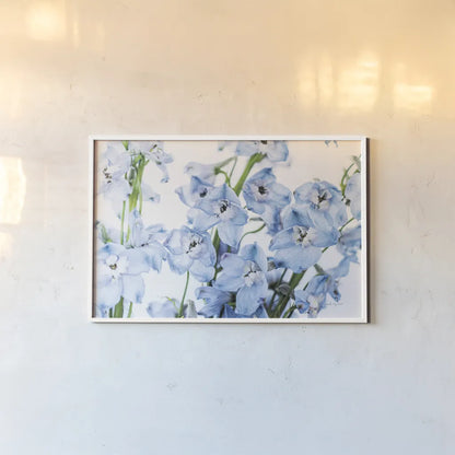 Freshly Picked Delphinium I by Elizabeth Urquhart. shown as a paper print in a white frame. Available as a archival giclee rolled canvas, fine art paper, or poster print. SKU 67966i.