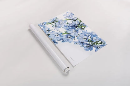 Freshly Picked Delphinium II by Elizabeth Urquhart. shown as a rolled paper print. Available as archival giclee rolled canvas, fine art paper, or poster print. SKU 67967i.