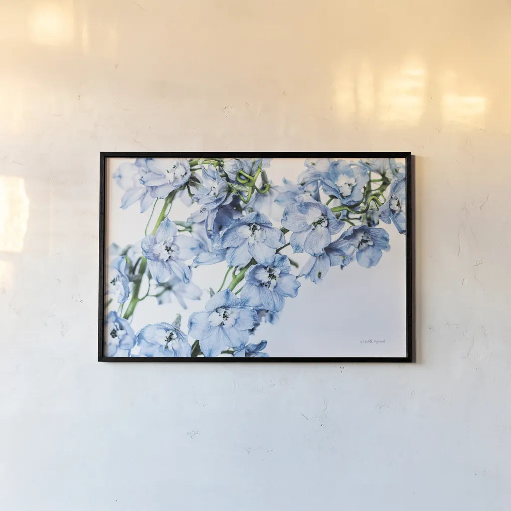 Freshly Picked Delphinium II by Elizabeth Urquhart. shown as a paper print in a black flame. Available as a archival giclee rolled canvas, fine art paper, or poster print. SKU 67967i.
