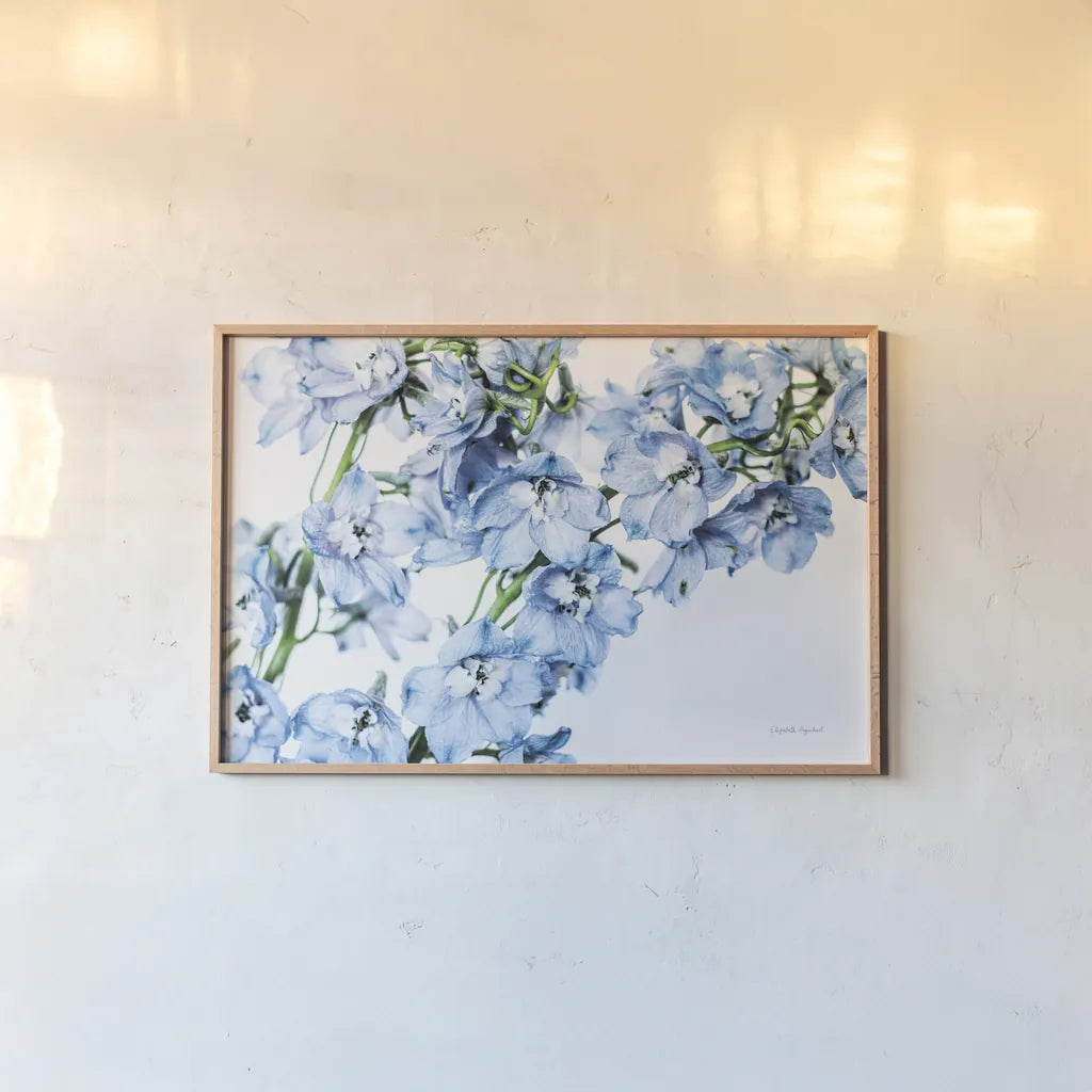 Freshly Picked Delphinium II by Elizabeth Urquhart. shown as a paper print in a natural frame. Available as a archival giclee rolled canvas, fine art paper, or poster print. SKU 67967i.