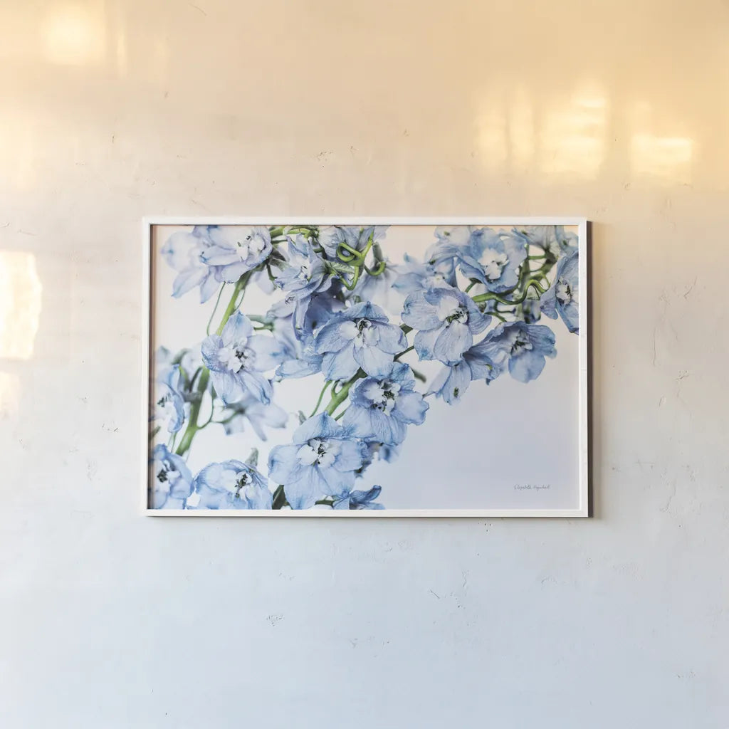 Freshly Picked Delphinium II by Elizabeth Urquhart. shown as a paper print in a white frame. Available as a archival giclee rolled canvas, fine art paper, or poster print. SKU 67967i.