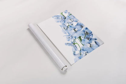 Freshly Picked Delphinium III by Elizabeth Urquhart. shown as a rolled paper print. Available as archival giclee rolled canvas, fine art paper, or poster print. SKU 67968h.