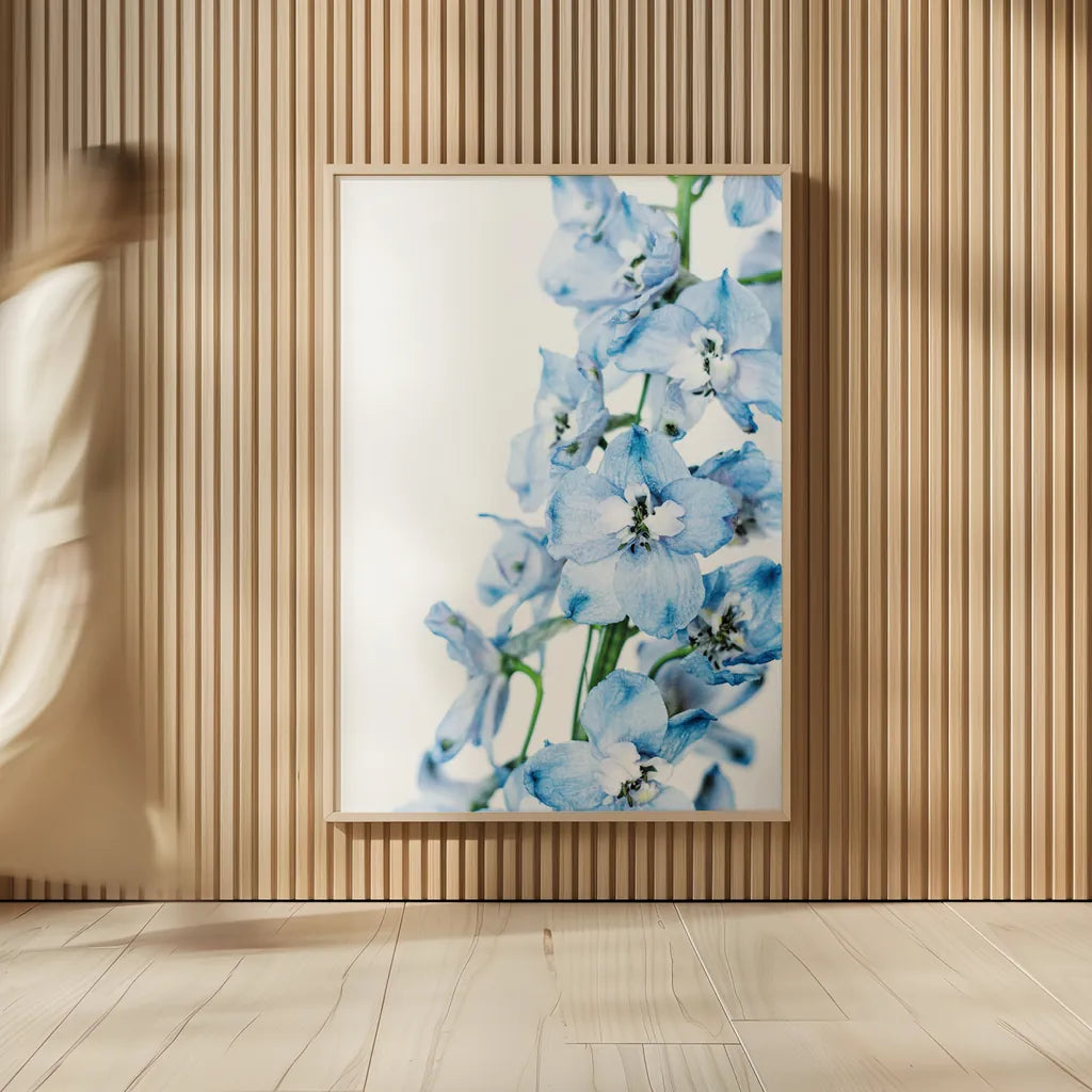 Freshly Picked Delphinium III by Elizabeth Urquhart. shown as over sized large wall art. Available as an archival giclee rolled canvas, fine art paper, or poster print. SKU 67968h.